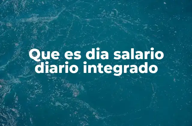 Que es Dia Salario Diario Integrado