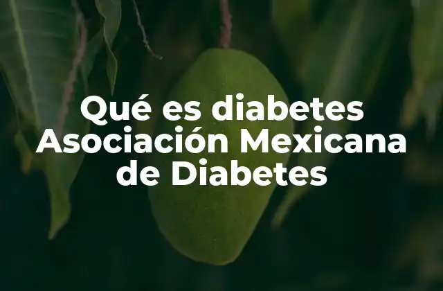 Qué es Diabetes Asociación Mexicana de Diabetes