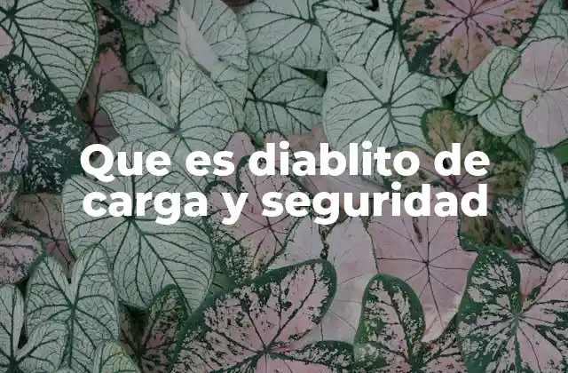 Cómo los diablos contribuyen a la seguridad industrial