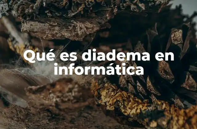 Qué es Diadema en Informática