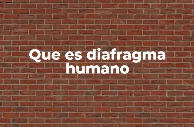 Que es Diafragma Humano