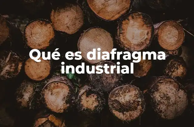 Qué es Diafragma Industrial