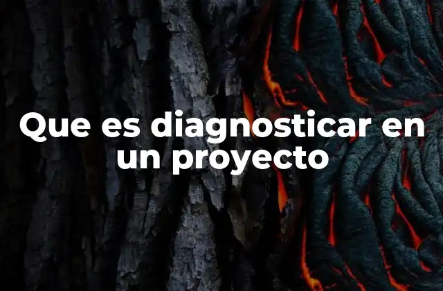 Que es Diagnosticar en un Proyecto
