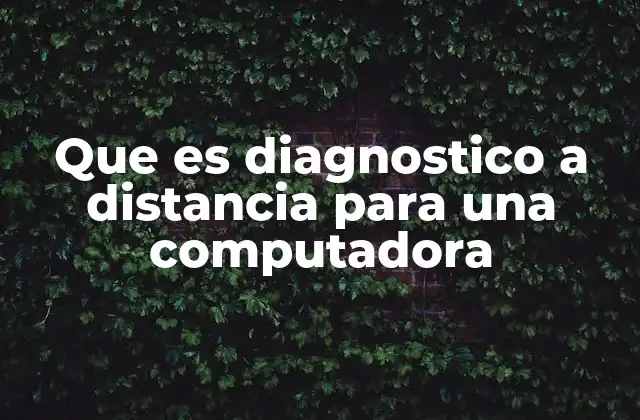 Que es Diagnostico a Distancia para una Computadora