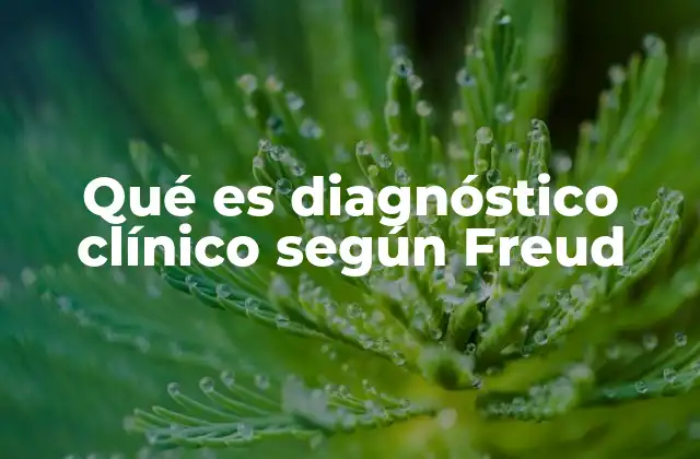 Qué es Diagnóstico Clínico según Freud