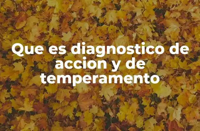 Que es Diagnostico de Accion y de Temperamento