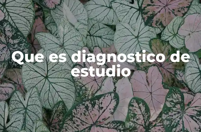 Que es Diagnostico de Estudio