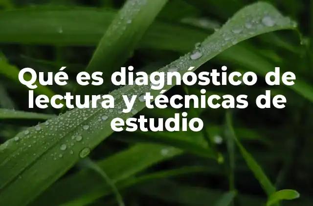 Qué es Diagnóstico de Lectura y Técnicas de Estudio