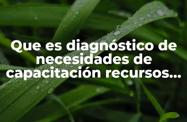 Que es Diagnóstico de Necesidades de Capacitación Recursos Humanos