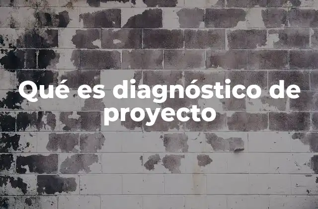 Qué es Diagnóstico de Proyecto