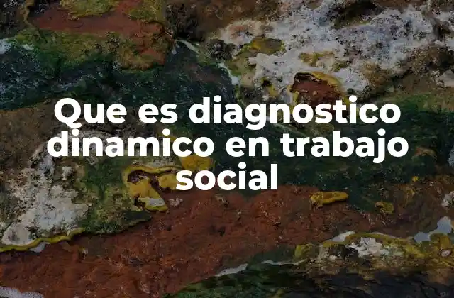 Que es Diagnostico Dinamico en Trabajo Social