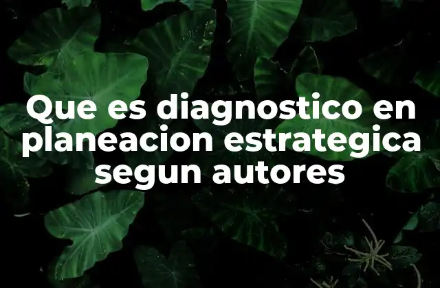 Que es Diagnostico en Planeacion Estrategica Segun Autores