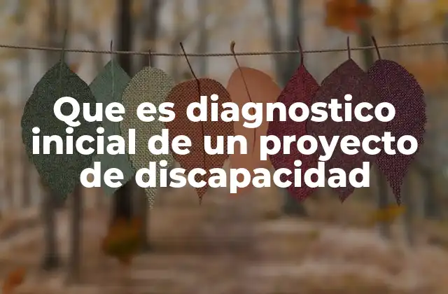 Que es Diagnostico Inicial de un Proyecto de Discapacidad