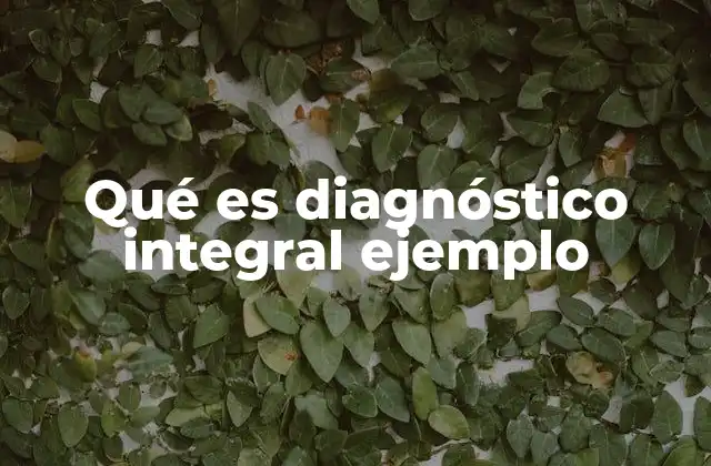 Qué es Diagnóstico Integral Ejemplo