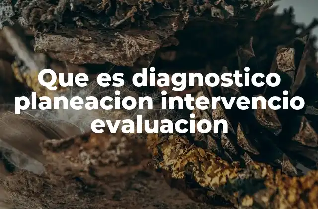 Que es Diagnostico Planeacion Intervencio Evaluacion 2 El proceso de ciclo integral para la toma de decisiones