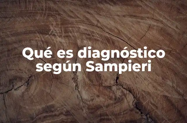 El diagnóstico como herramienta de análisis en la investigación