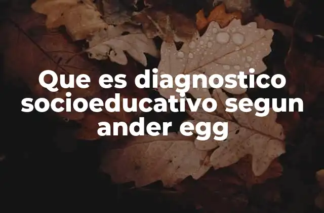 Que es Diagnostico Socioeducativo Segun Ander Egg