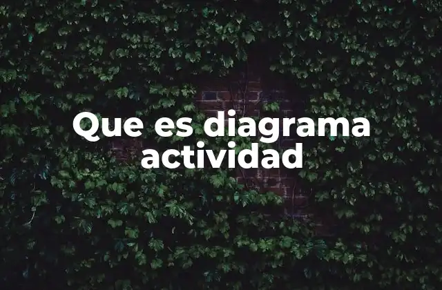 Que es Diagrama Actividad