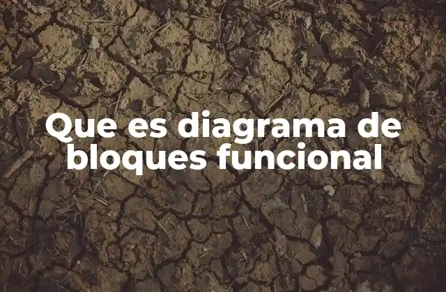 Que es Diagrama de Bloques Funcional