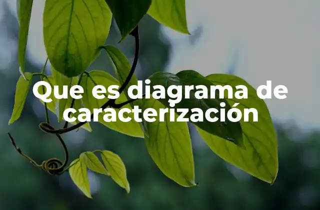 Que es Diagrama de Caracterización