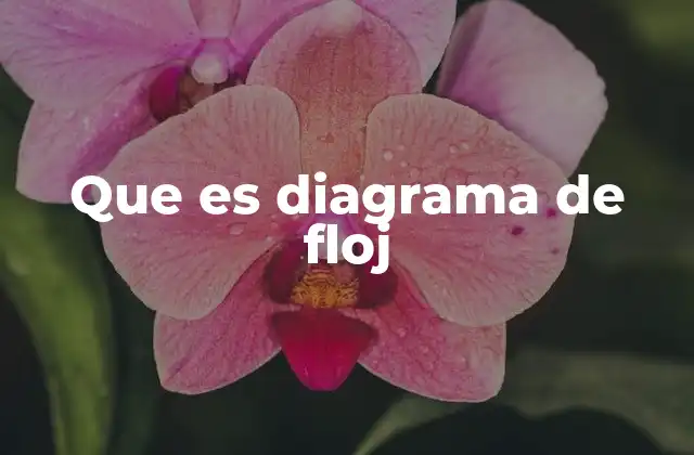 Que es Diagrama de Floj