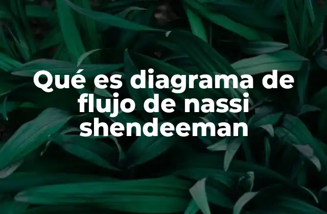 Qué es Diagrama de Flujo de Nassi Shendeeman
