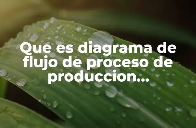 Que es Diagrama de Flujo de Proceso de Produccion Caracteristicas