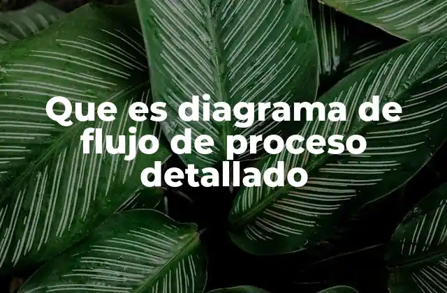 Que es Diagrama de Flujo de Proceso Detallado