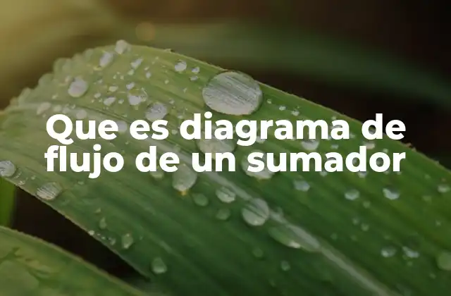 Que es Diagrama de Flujo de un Sumador