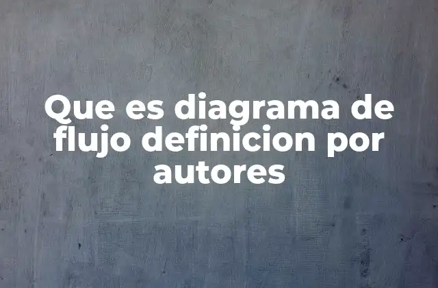Que es Diagrama de Flujo Definicion por Autores