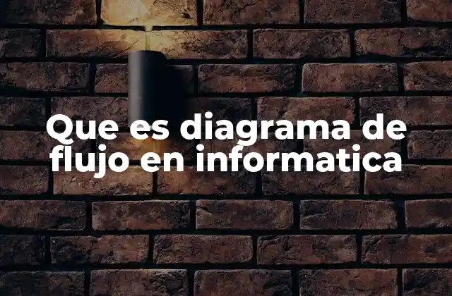 Que es Diagrama de Flujo en Informatica