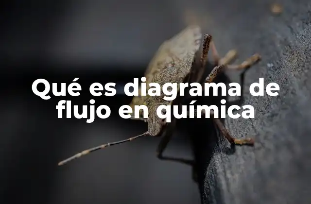 Qué es Diagrama de Flujo en Química