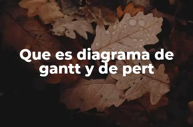 Que es Diagrama de Gantt y de Pert