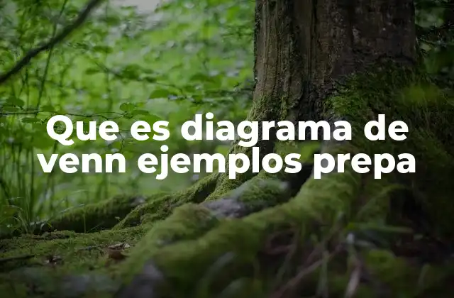 Que es Diagrama de Venn Ejemplos Prepa