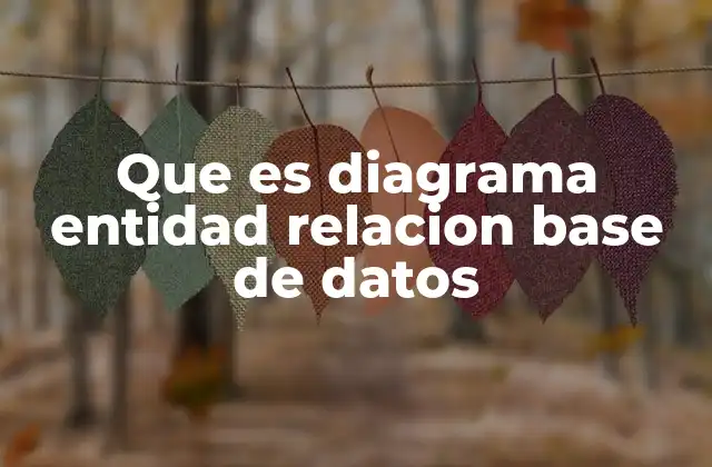 Que es Diagrama Entidad Relacion Base de Datos