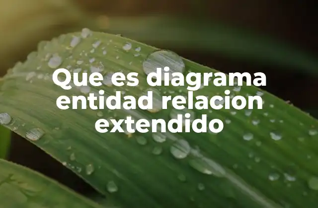 Que es Diagrama Entidad Relacion Extendido