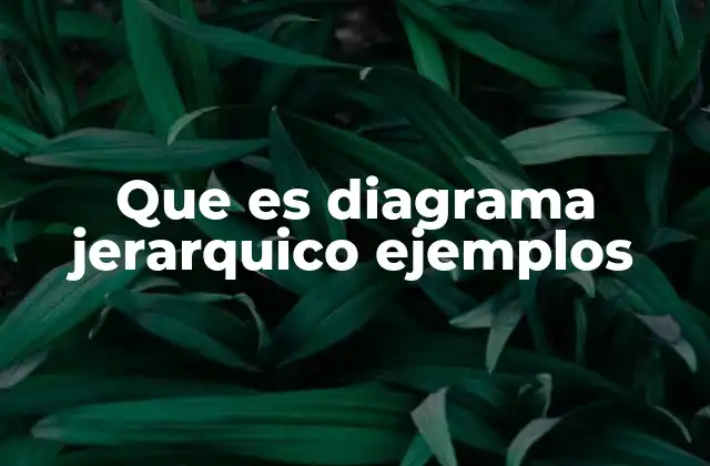 Que es Diagrama Jerarquico Ejemplos