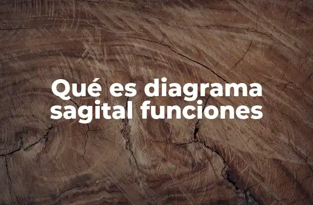 Qué es Diagrama Sagital Funciones