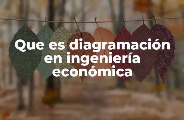 Que es Diagramación en Ingeniería Económica