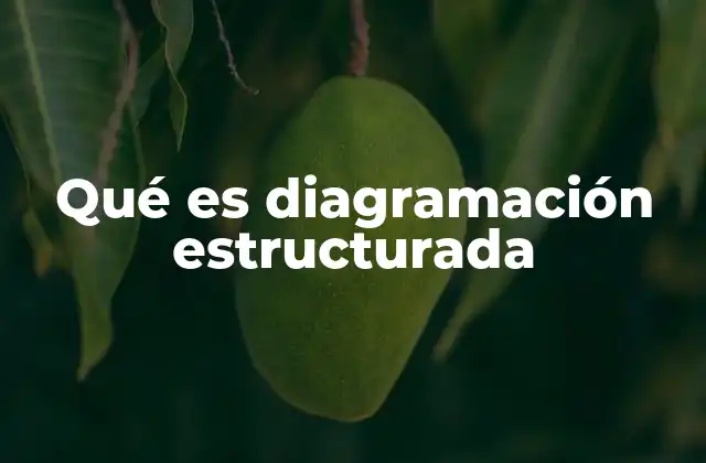 Qué es Diagramación Estructurada