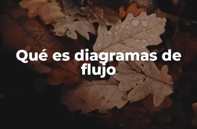 Qué es Diagramas de Flujo