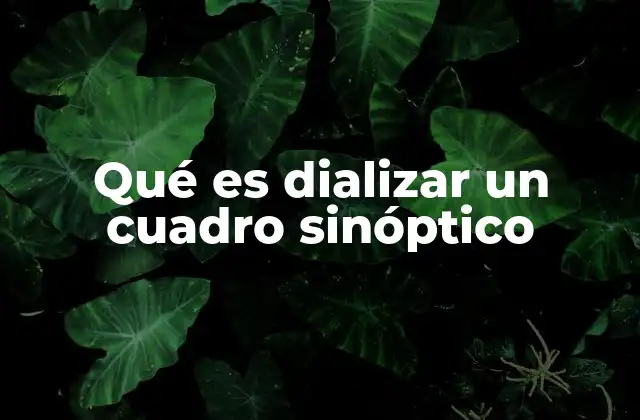 Qué es Dializar un Cuadro Sinóptico