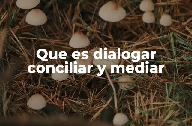 Que es Dialogar Conciliar y Mediar 2 El proceso de resolución de conflictos sin violencia