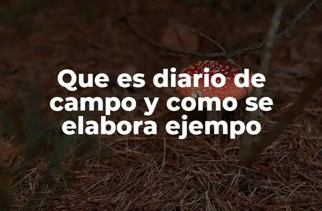 Que es Diario de Campo y como Se Elabora Ejempo