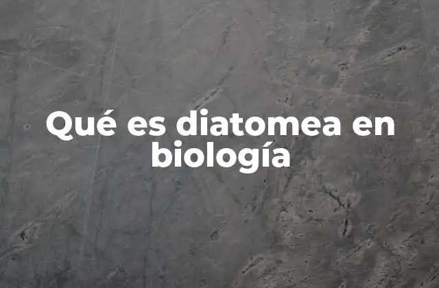 Qué es Diatomea en Biología