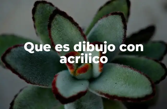 Que es Dibujo con Acrilico