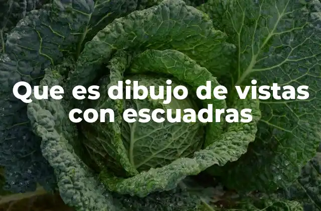 Que es Dibujo de Vistas con Escuadras