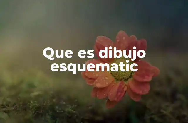 Que es Dibujo Esquematic