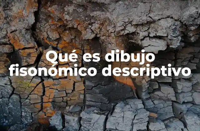 Qué es Dibujo Fisonómico Descriptivo