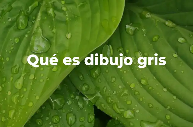 Qué es Dibujo Gris